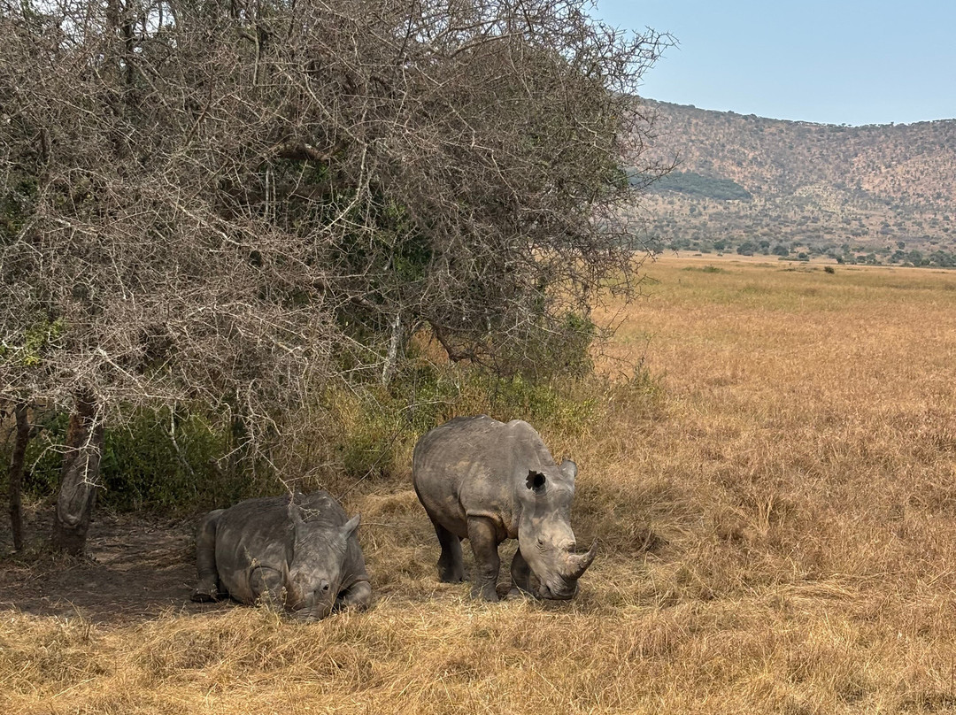 Devine African Safaris-吉佳利必去景点