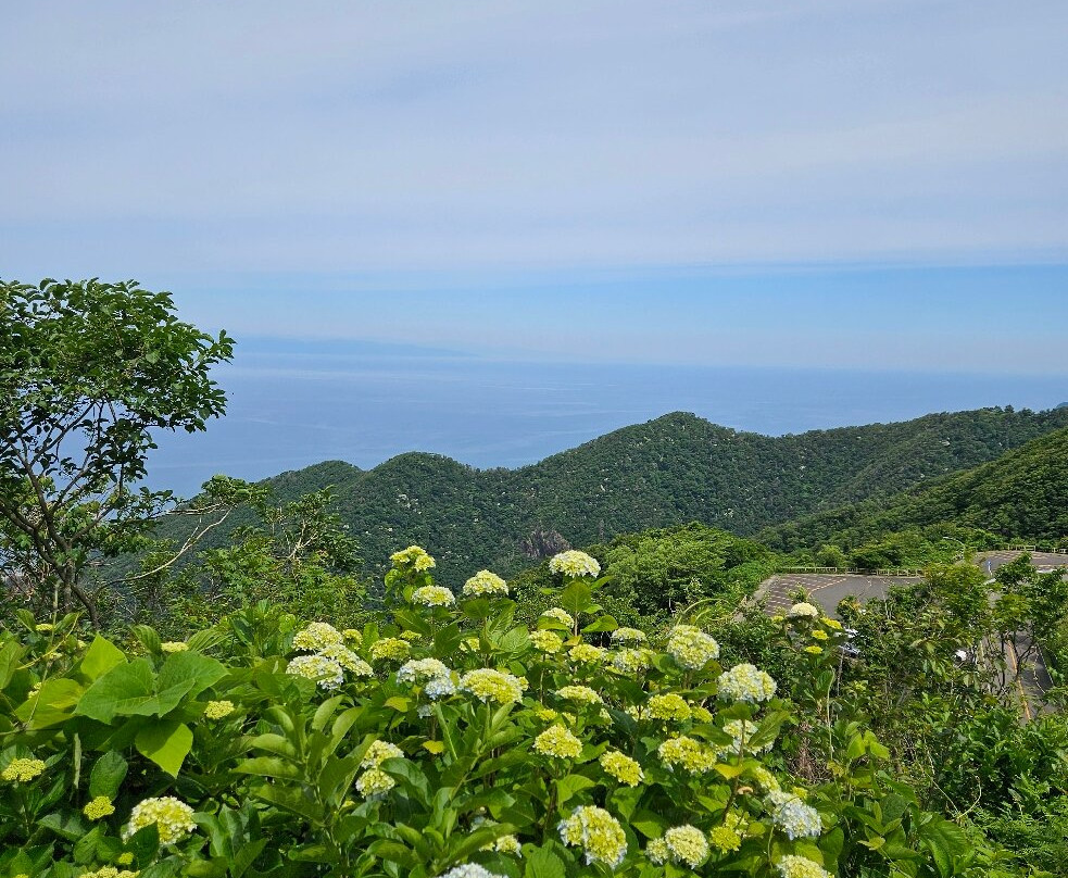 Yahikoyama Ropeway-弥彦村必去景点