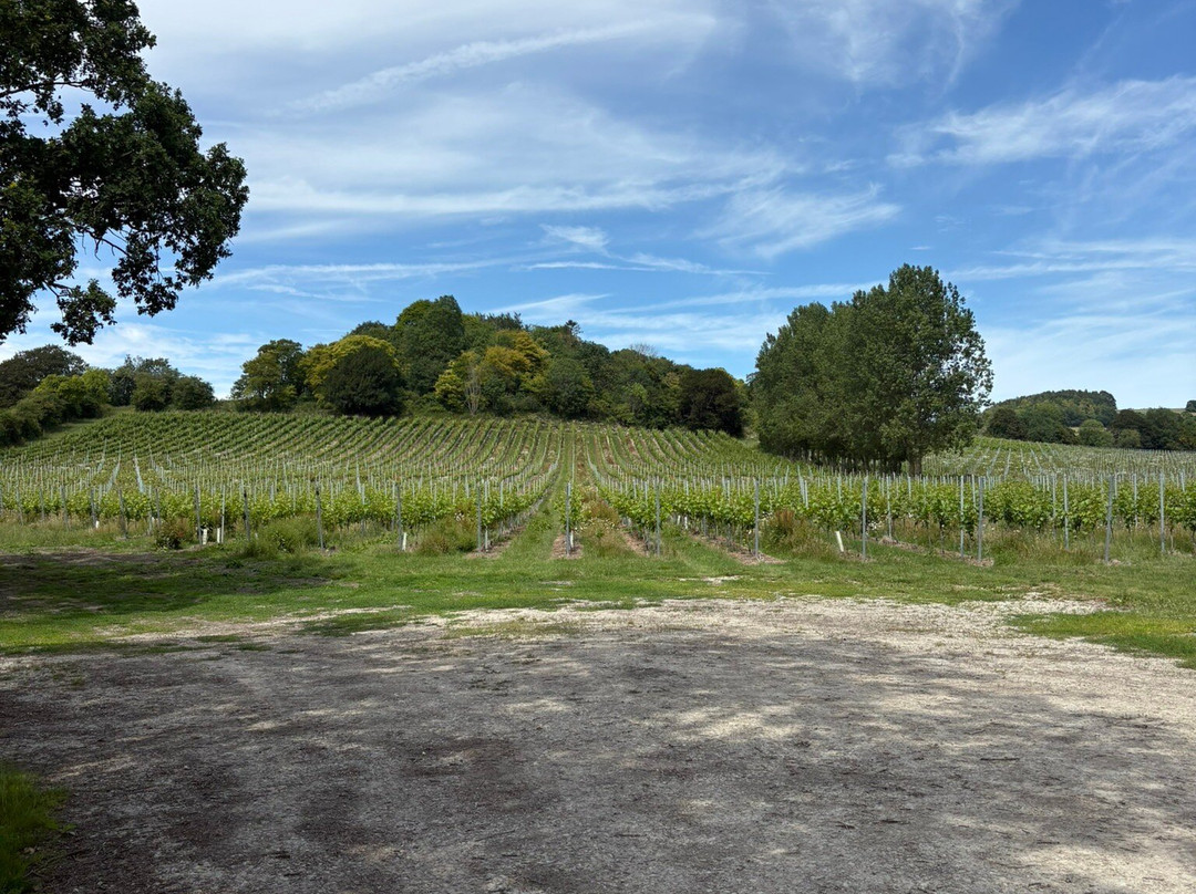 Wildshark Vineyard-Harrietsham必去景点