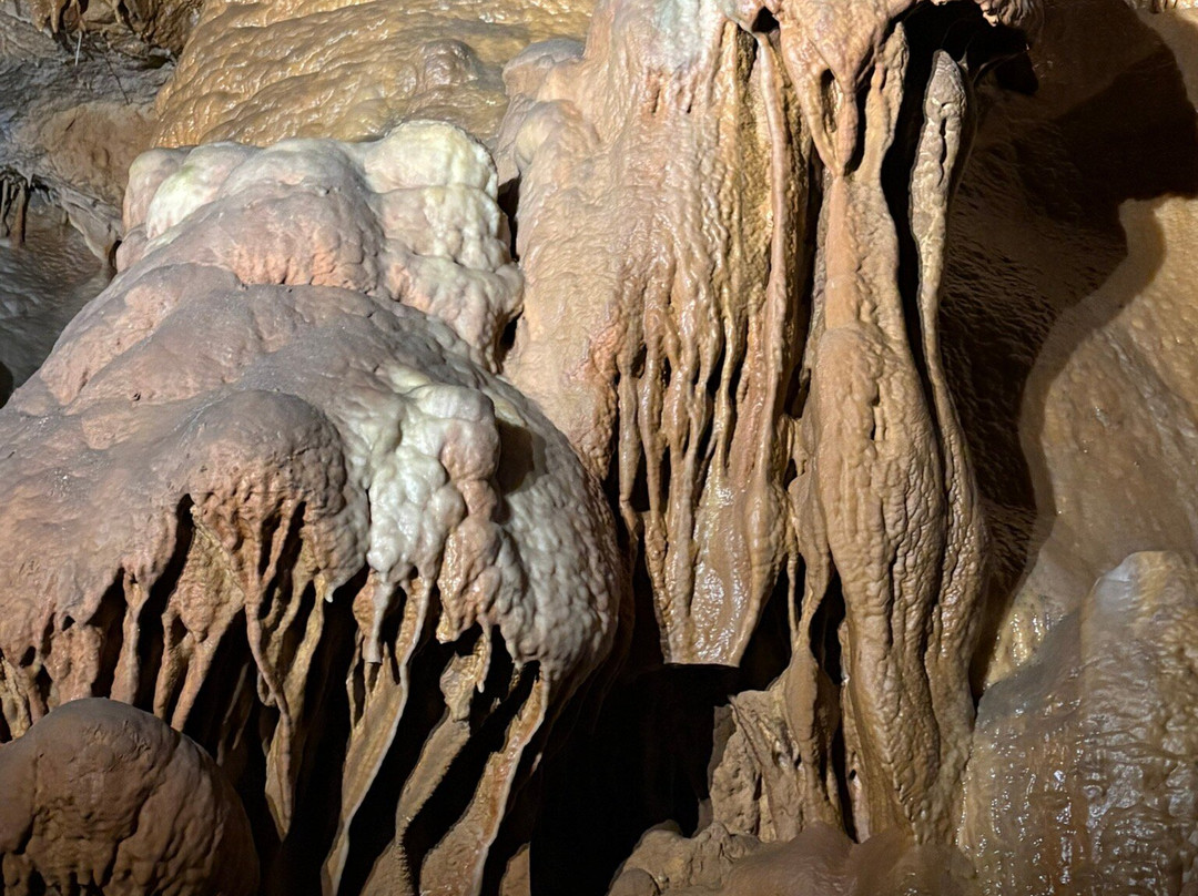 Grotte de Dargilan-Meyrueis必去景点