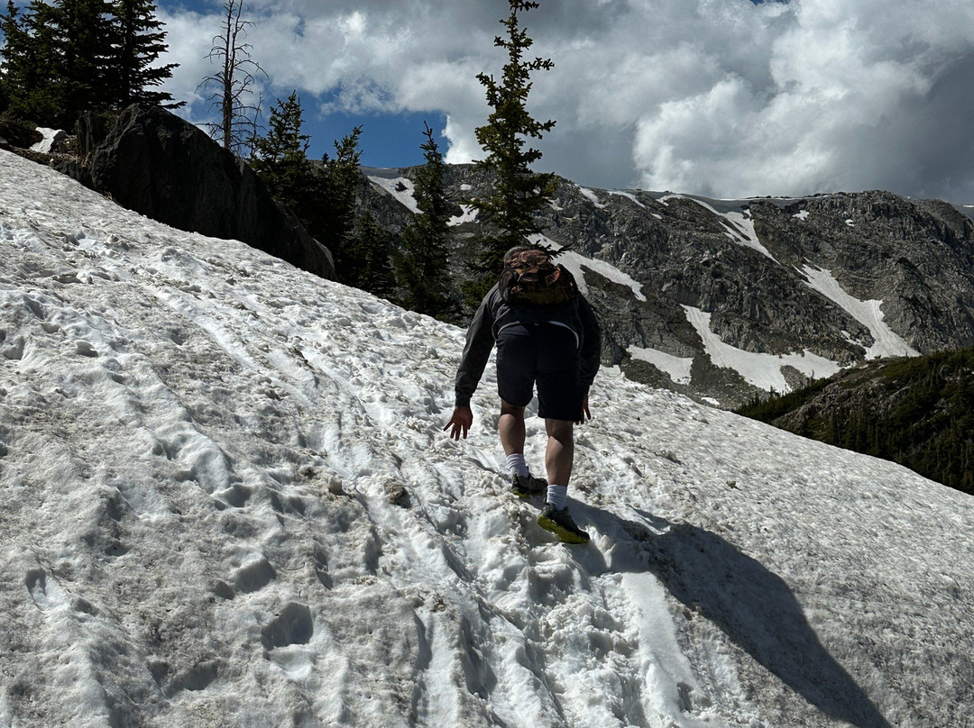 Medicine Bow National Forest-拉勒米必去景点