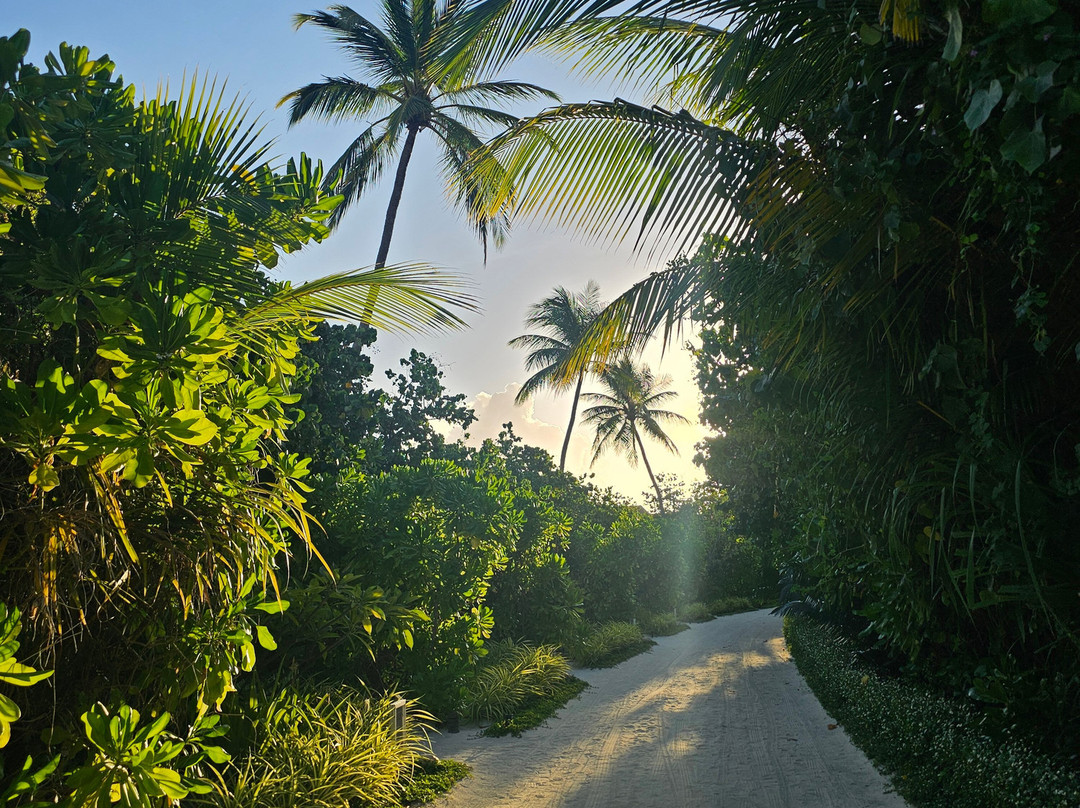 马尔代夫Velifushi Cinnamon主图