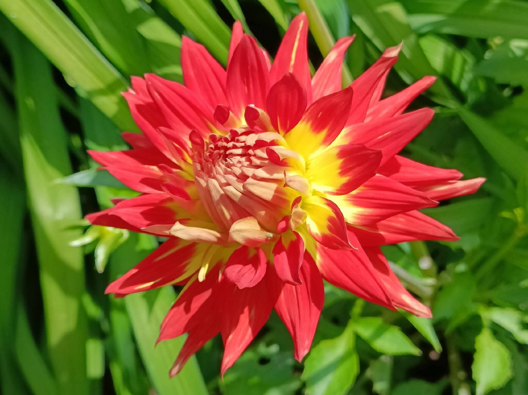 Bangor Castle Walled Garden-班戈必去景点