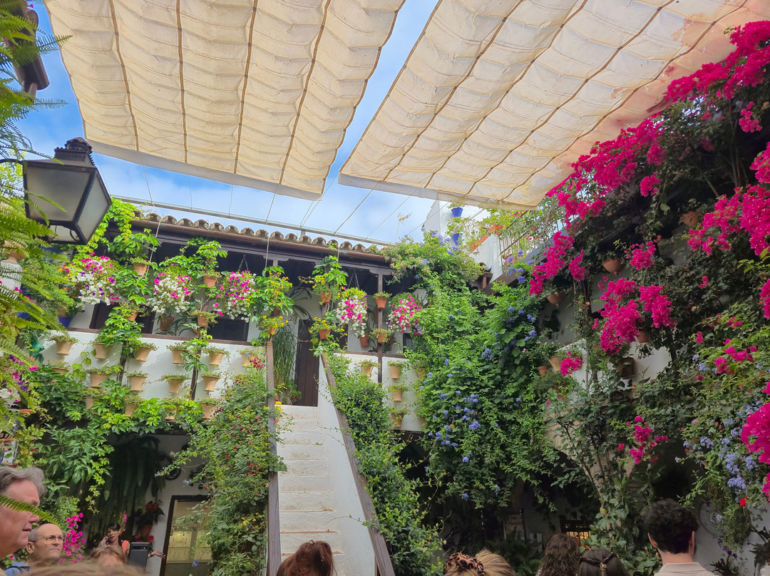 Los Patios de San Basilio-科尔多瓦必去景点