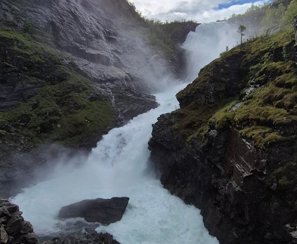 Tren De Flåm