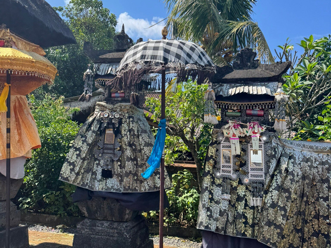Happy Bali Tours-乌布必去景点