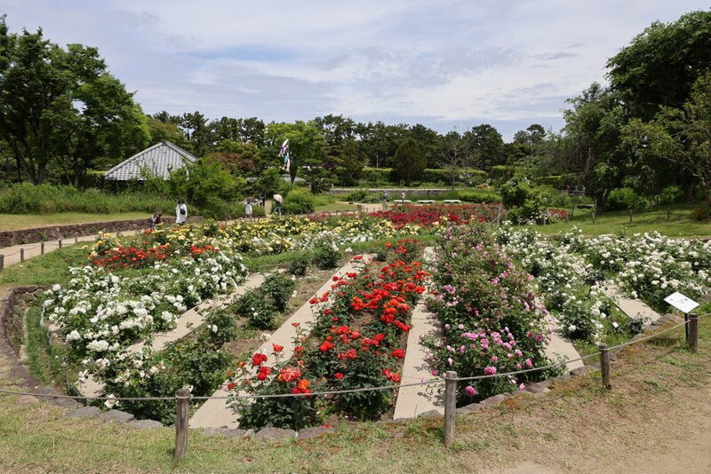 Hamadera Park-坂井市必去景点