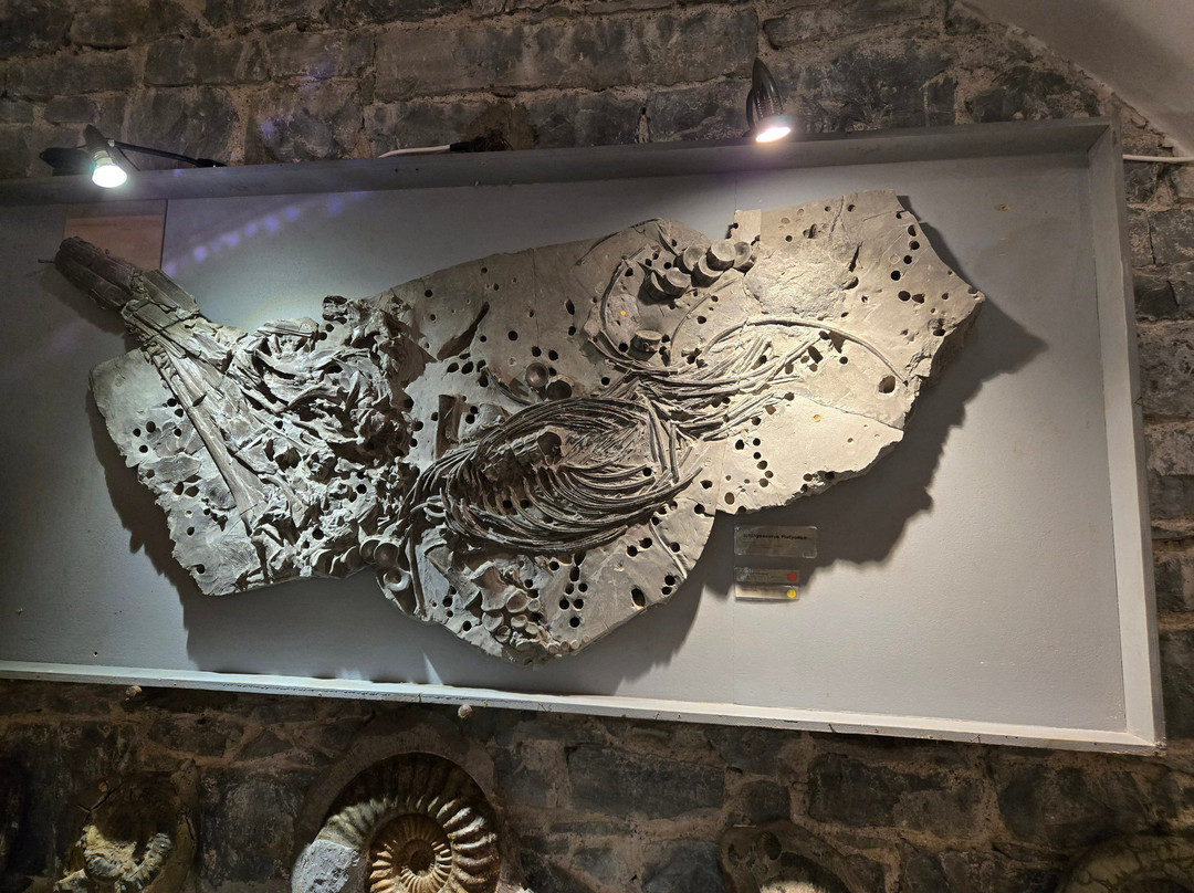 Belleek Castle Museum-巴利纳必去景点