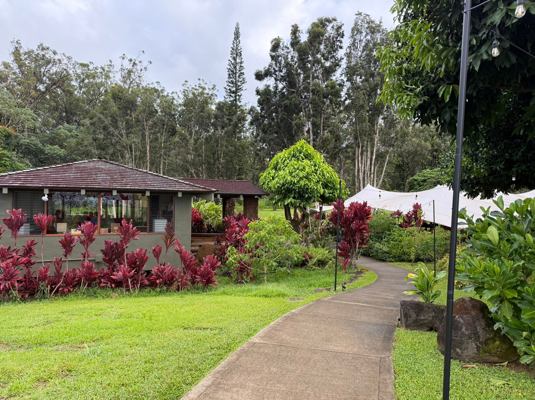 Common Ground Kauai-基拉韦厄必去景点