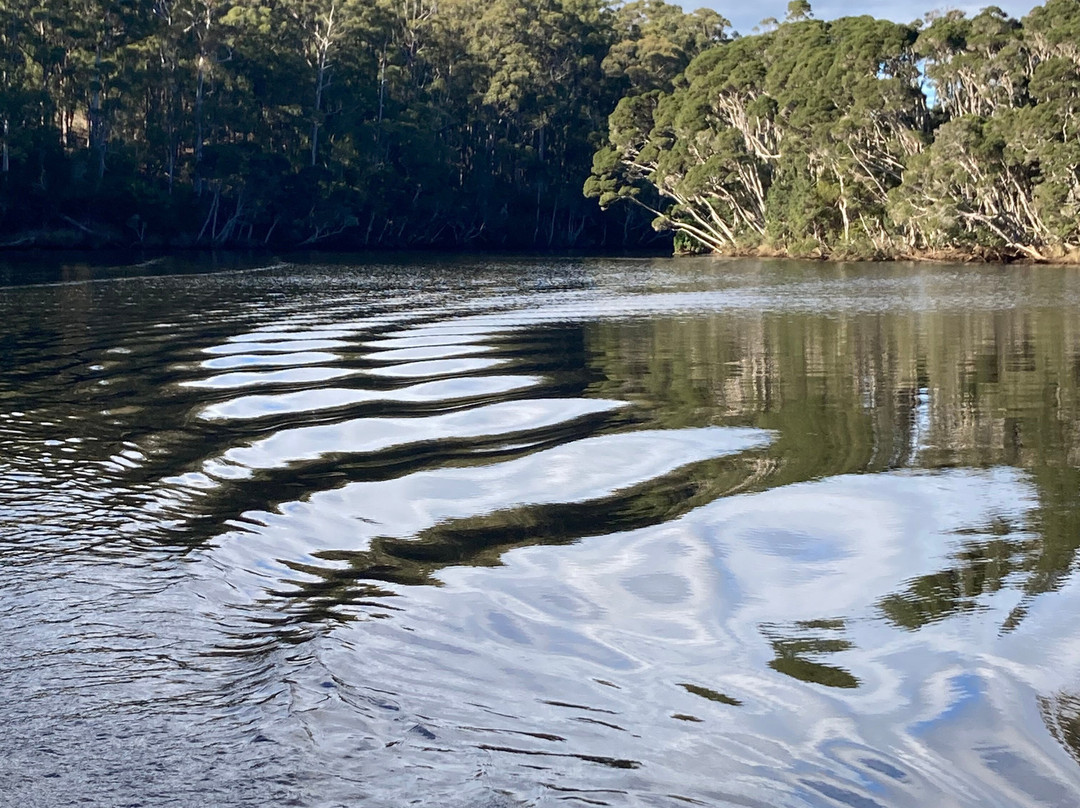Leven River Cruises-Ulverstone必去景点