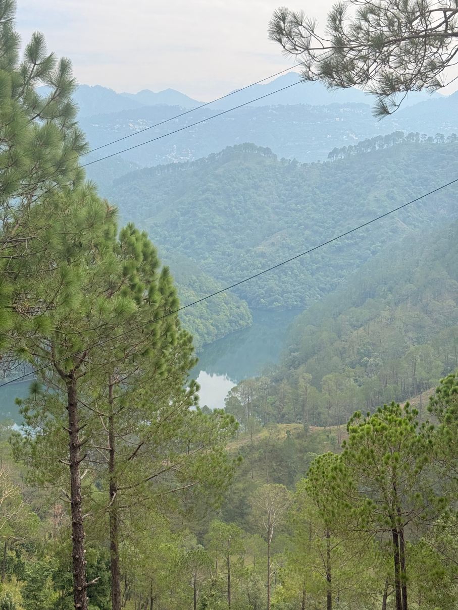 Sattal Forest Resort-旅行者
