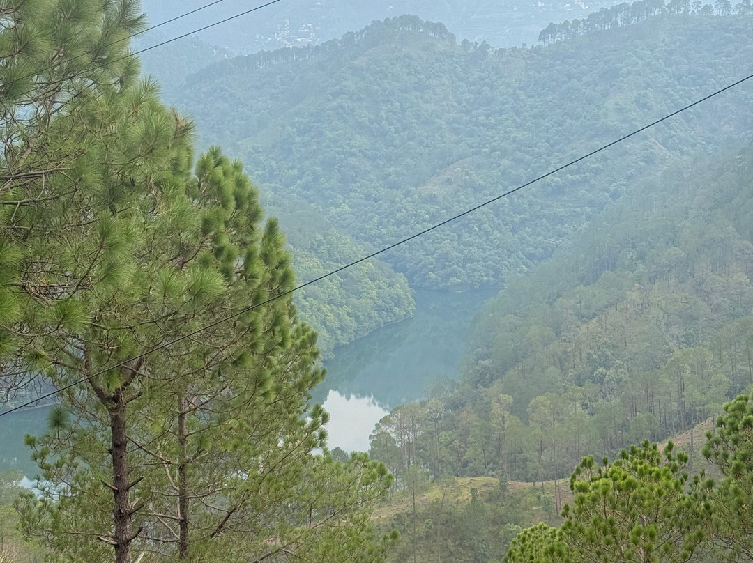 Sattal Forest Resort主图