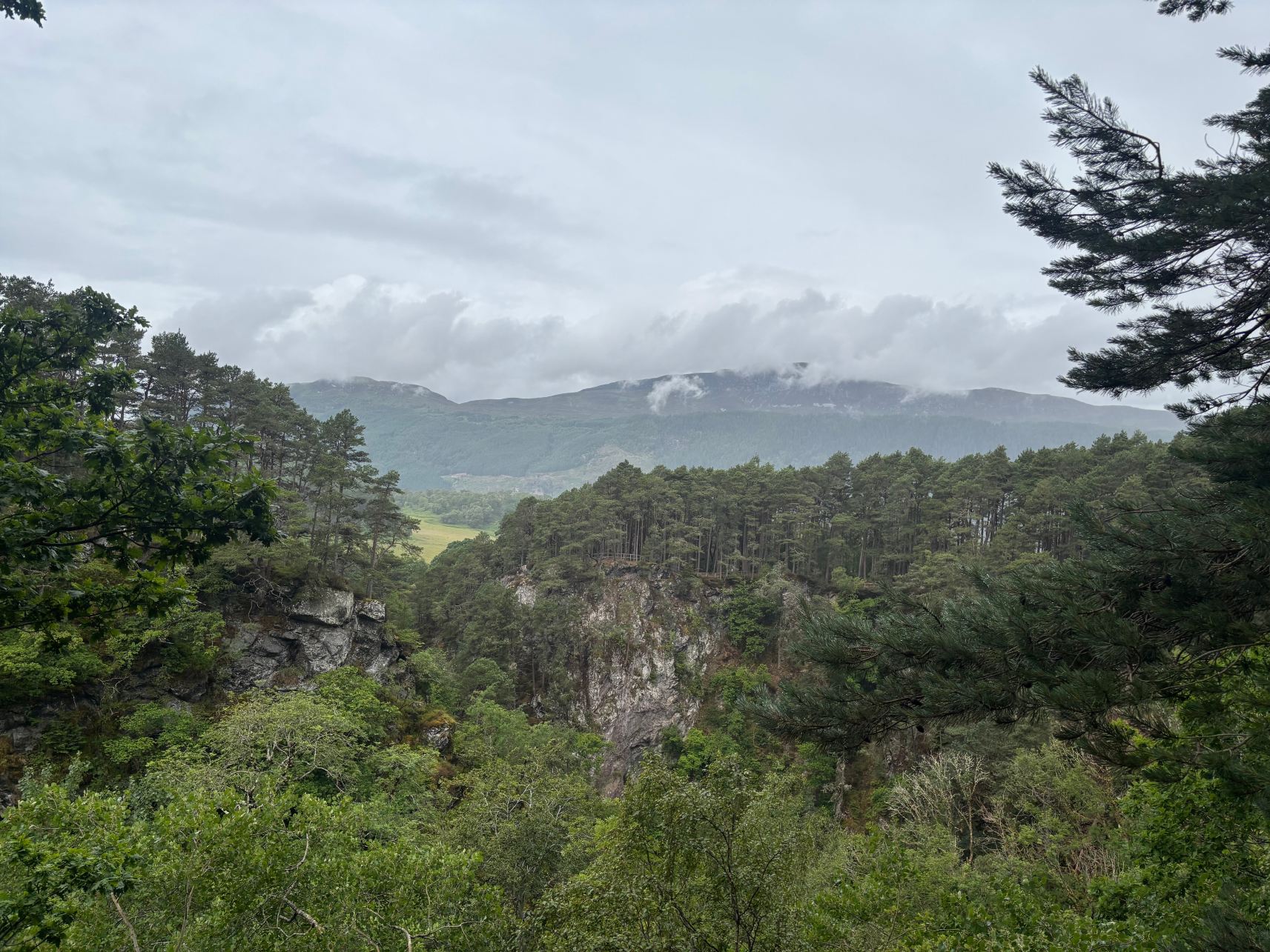 福耶斯湾乡村民宿-旅行者