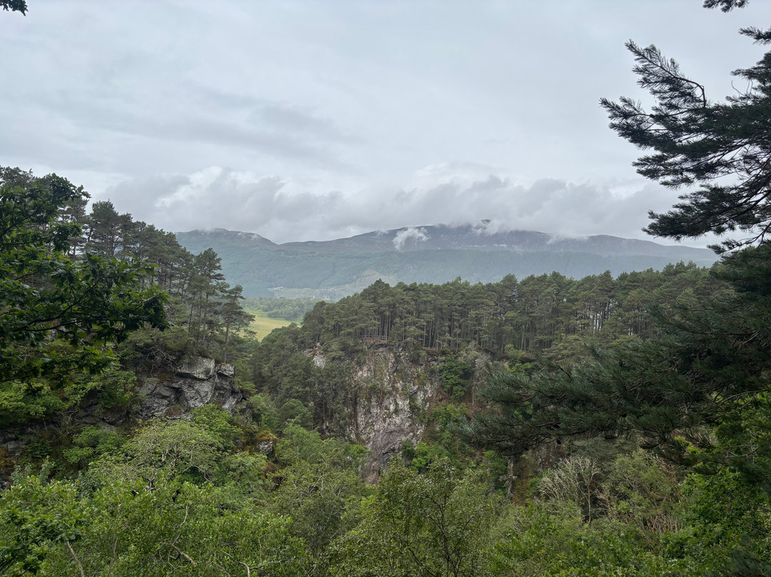 Foyers酒店住宿-Foyers Bay Country House