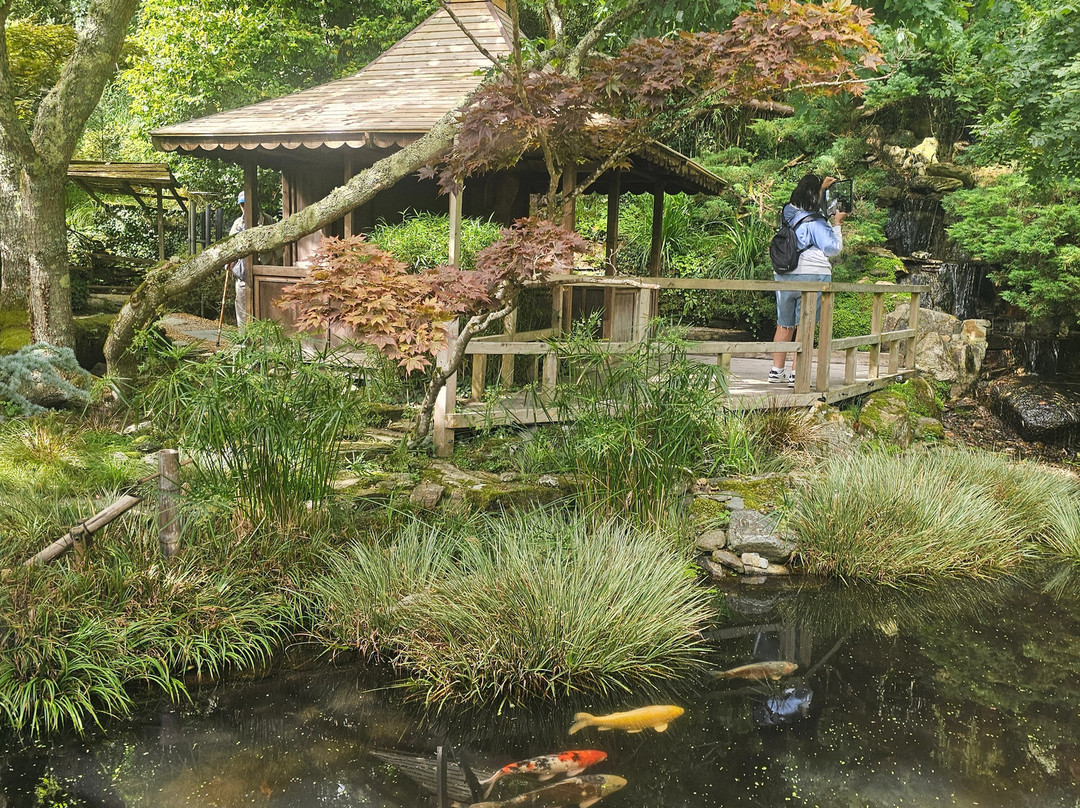 The Japanese Garden-St. Mawgan必去景点