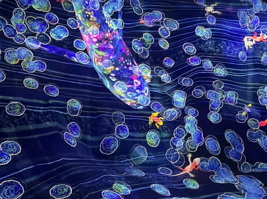 teamLab Planets TOKYO-Toyosu必去景点