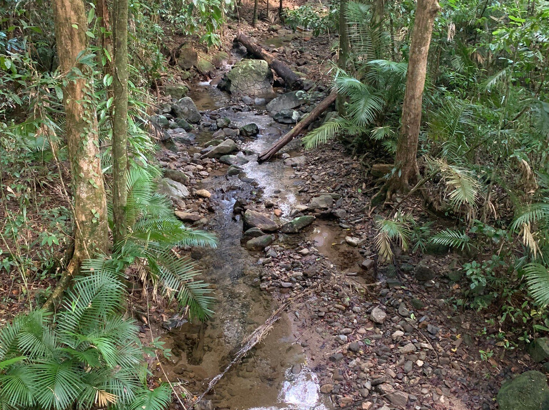 Mossman Gorge Cultural Centre-丹特里区必去景点