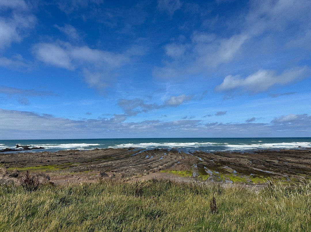 Freewave Surf Academy-布德必去景点
