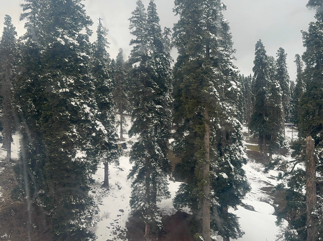 Gulmarg Gondola-贡马必去景点