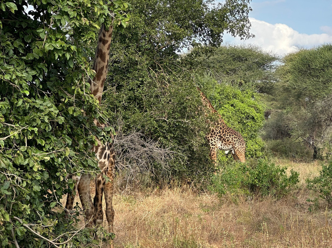 BADGER ADVENTURES TOURS & SAFARI-Arusha Chini必去景点