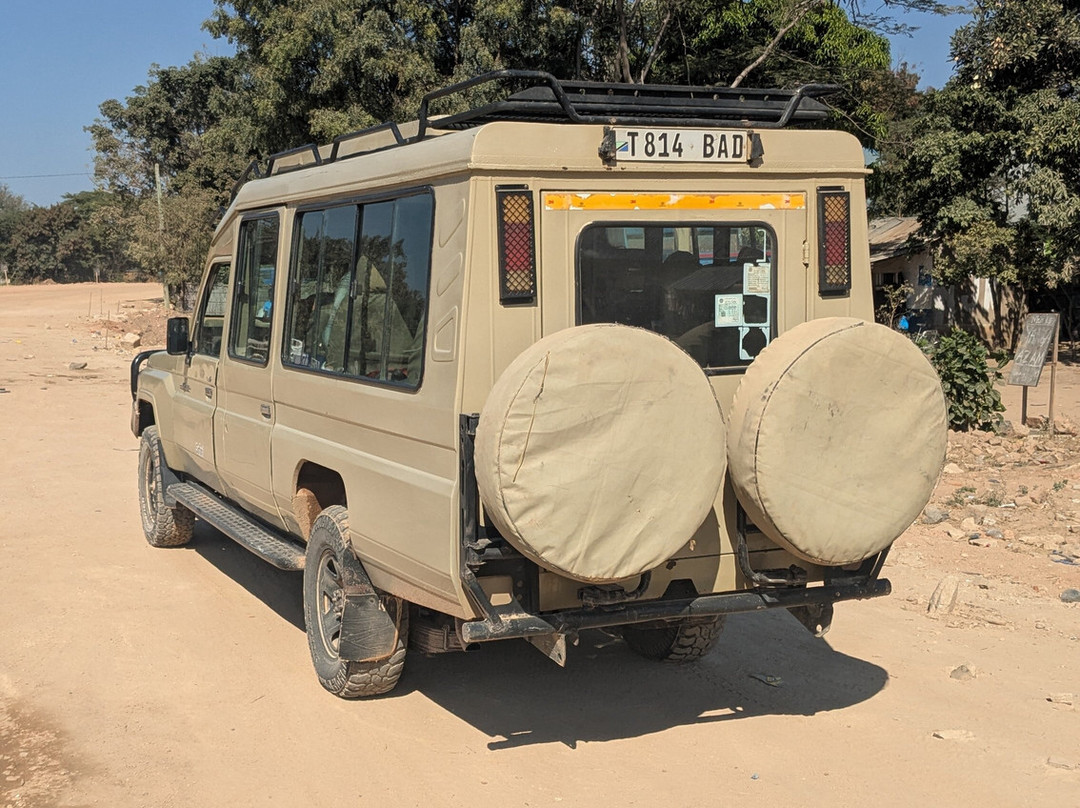 Mikumi Car Rental Safaris-Dar es Salaam必去景点