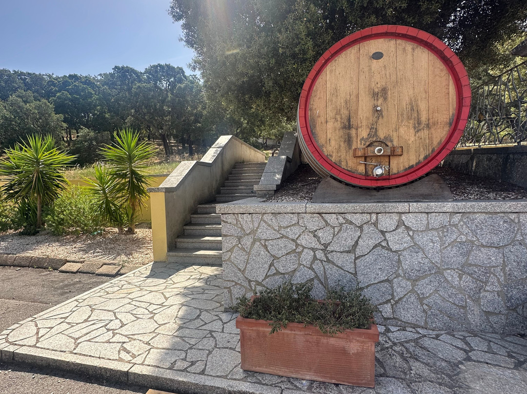 Cantina sociale del vermentino di monti-Monti必去景点