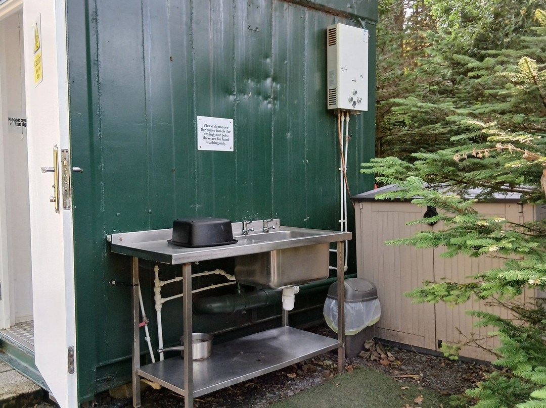 Low Nabs Wood Camping