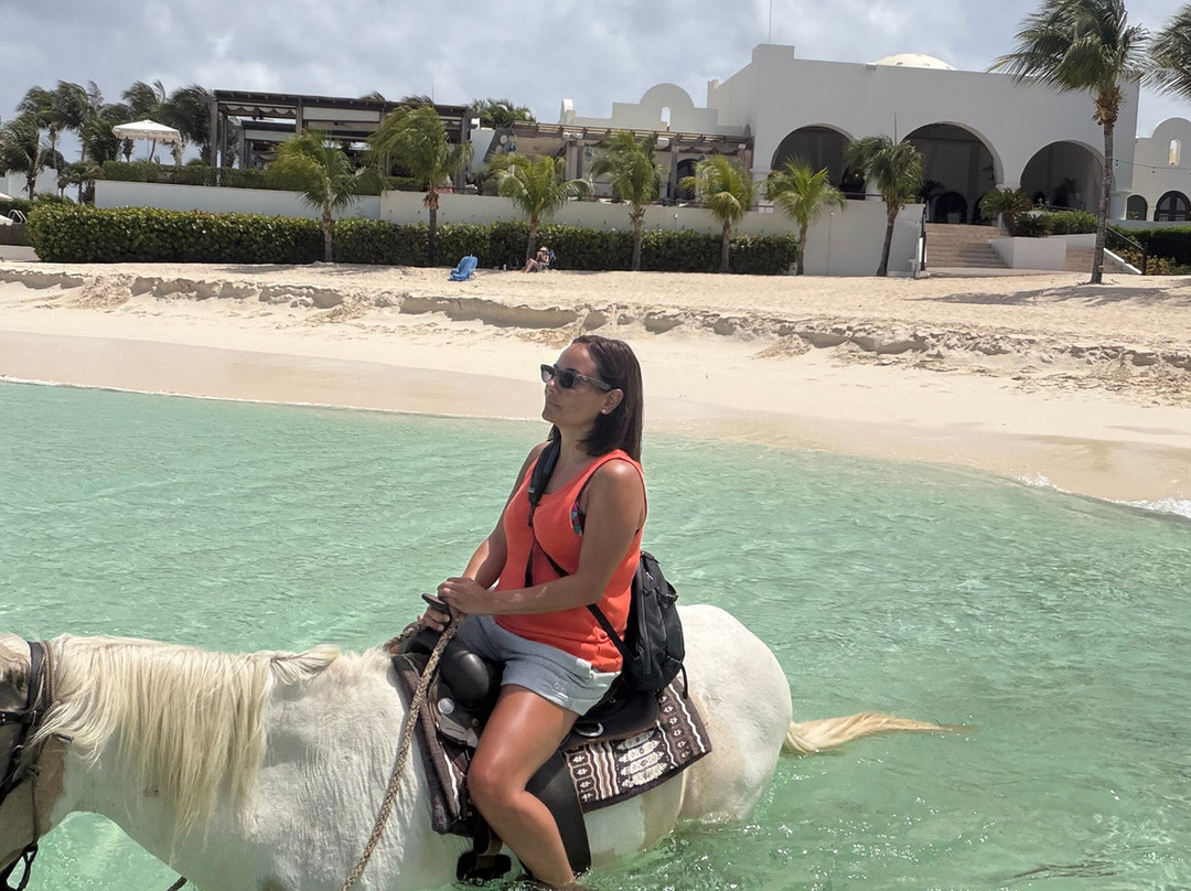 Seaside Stables Anguilla-West End Village必去景点
