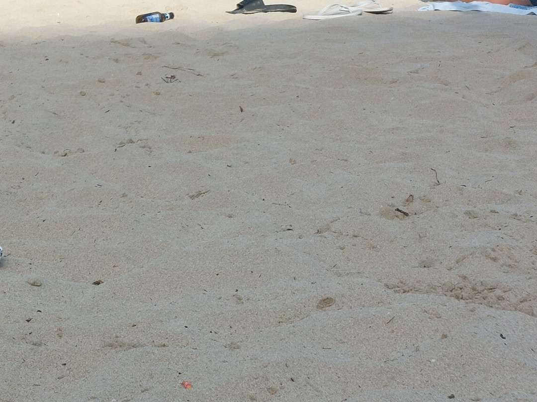 Plage Cala D'or-卡拉多尔必去景点
