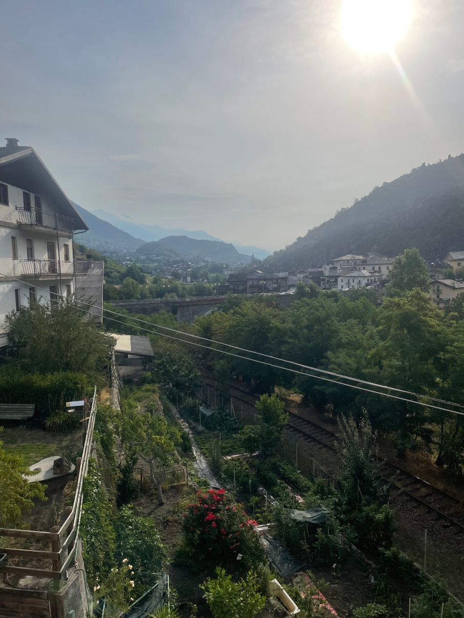 Hotel des Roses-旅行者