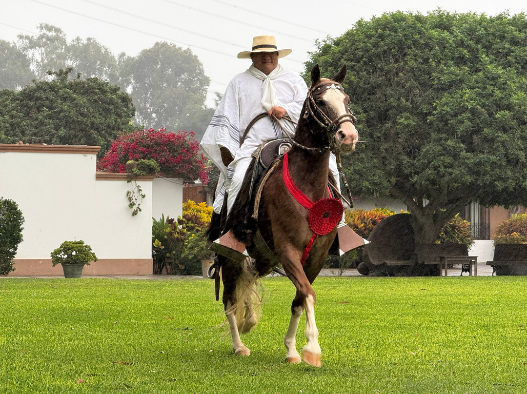 Los Ficus Casa Hacienda-利马必去景点