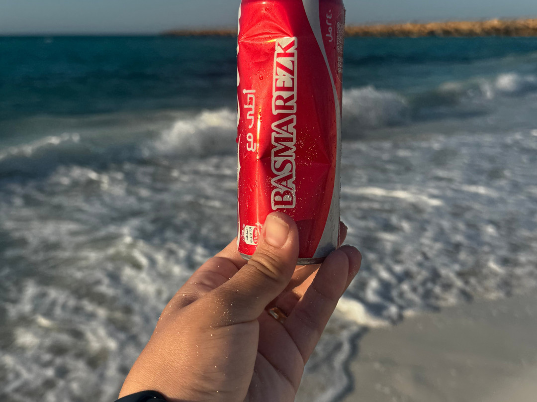 阿拉曼海滩酒店主图