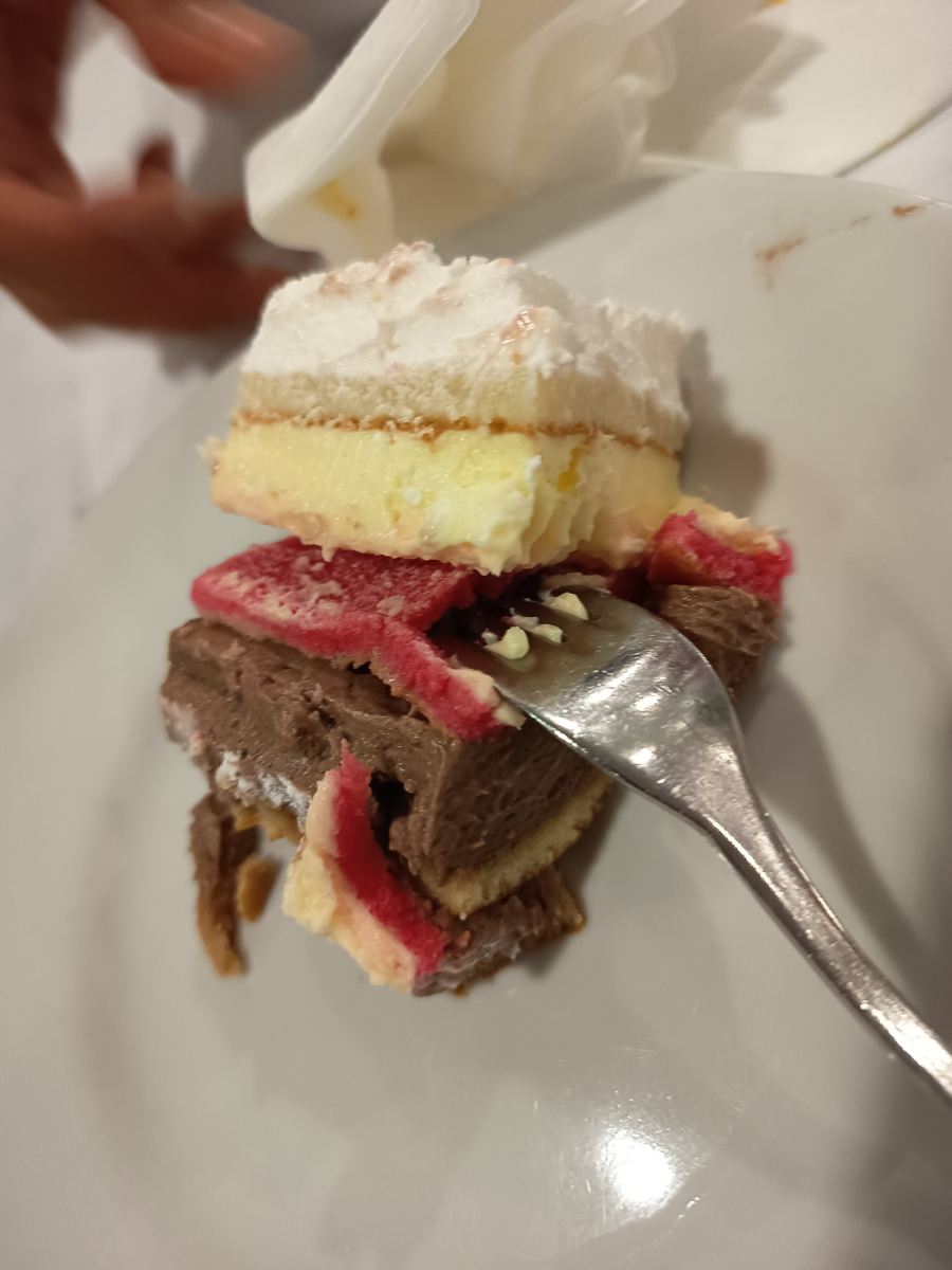 纳泽欧尼俱乐部酒店-旅行者