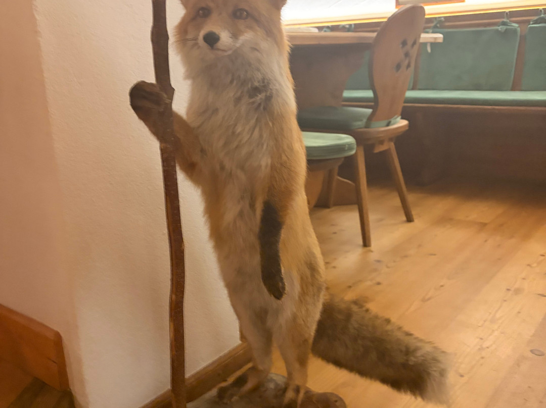 奥罗拉酒店主图