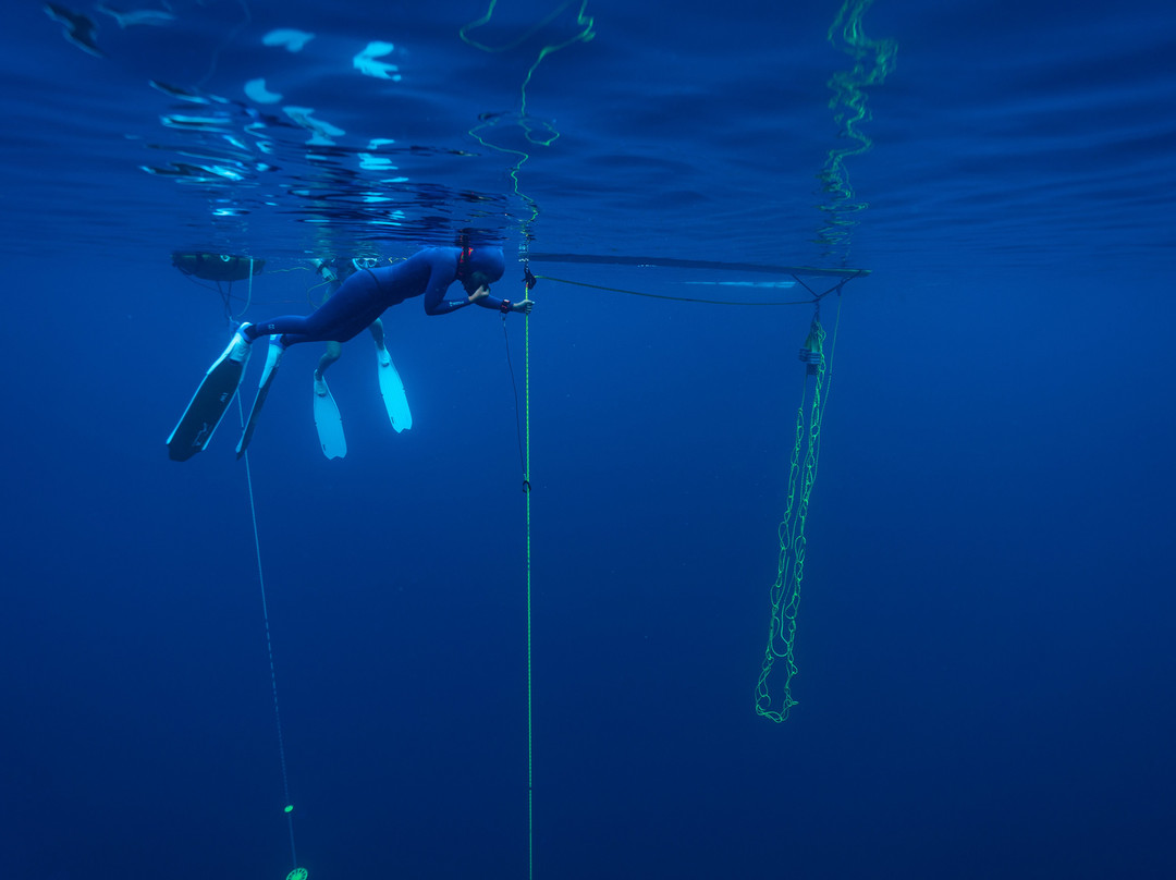 Ocean Bx Freediving-Mati必去景点