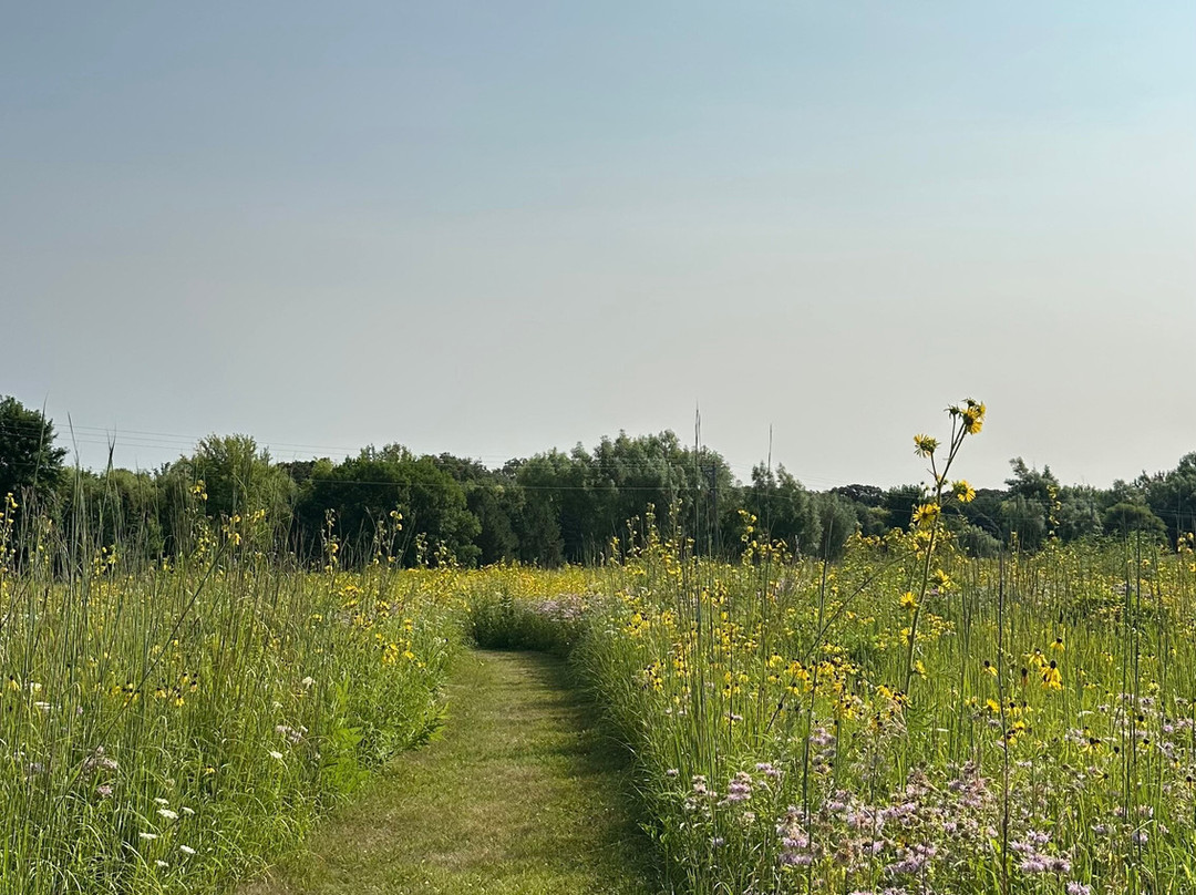Dickinson County Nature Center-奥科博吉必去景点