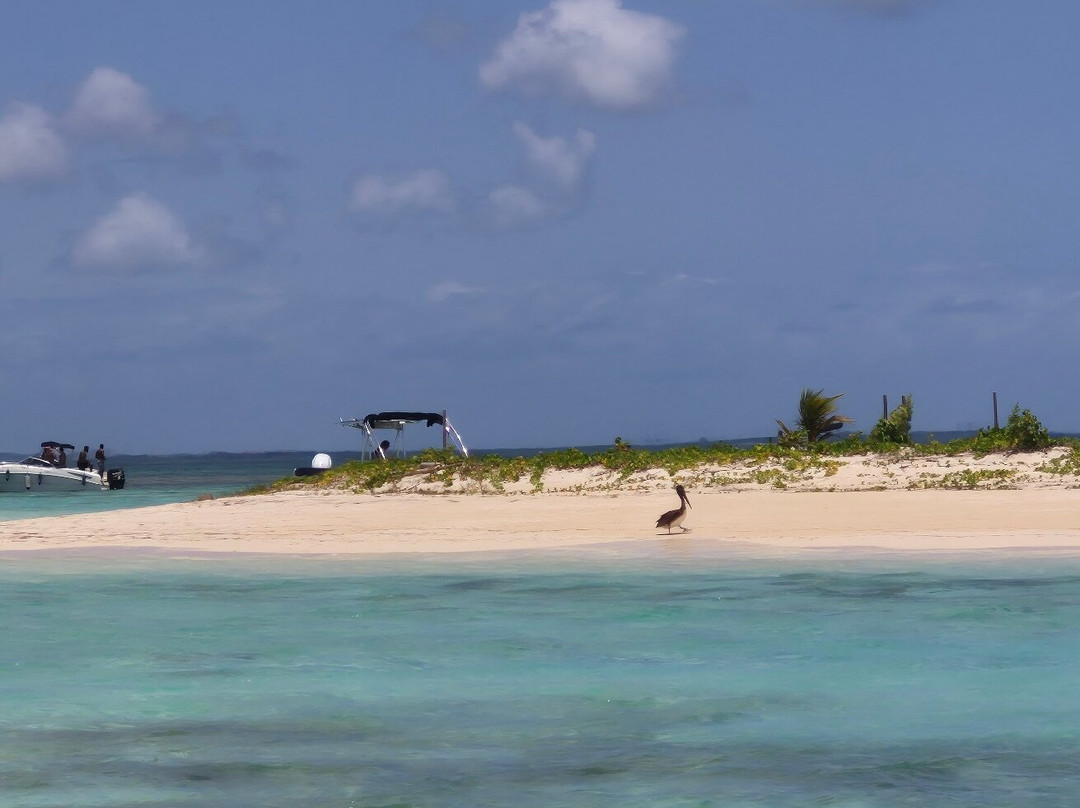 Coco Mambo-Sainte Rose必去景点