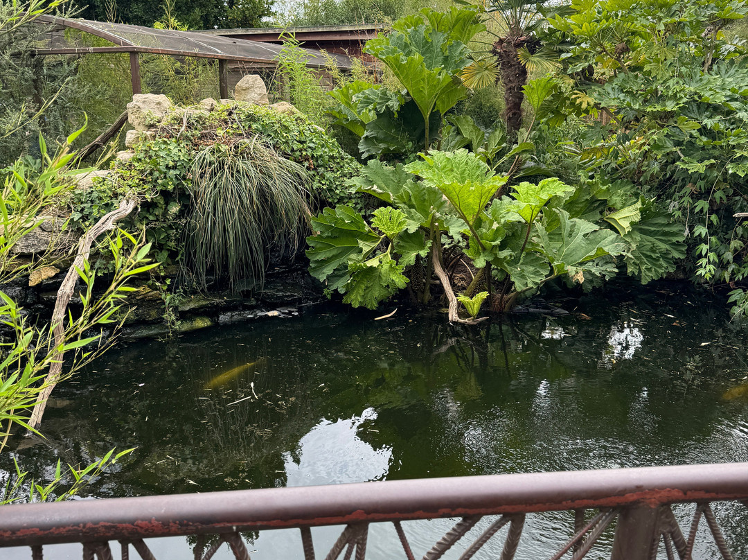 科茨沃尔德野生动物公园和花园-伯福德必去景点