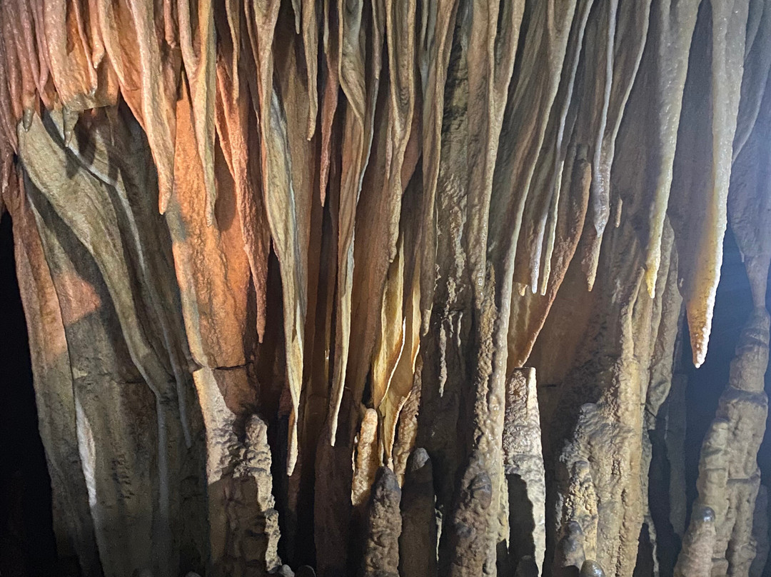 Modrič Cave-Rovanjska必去景点