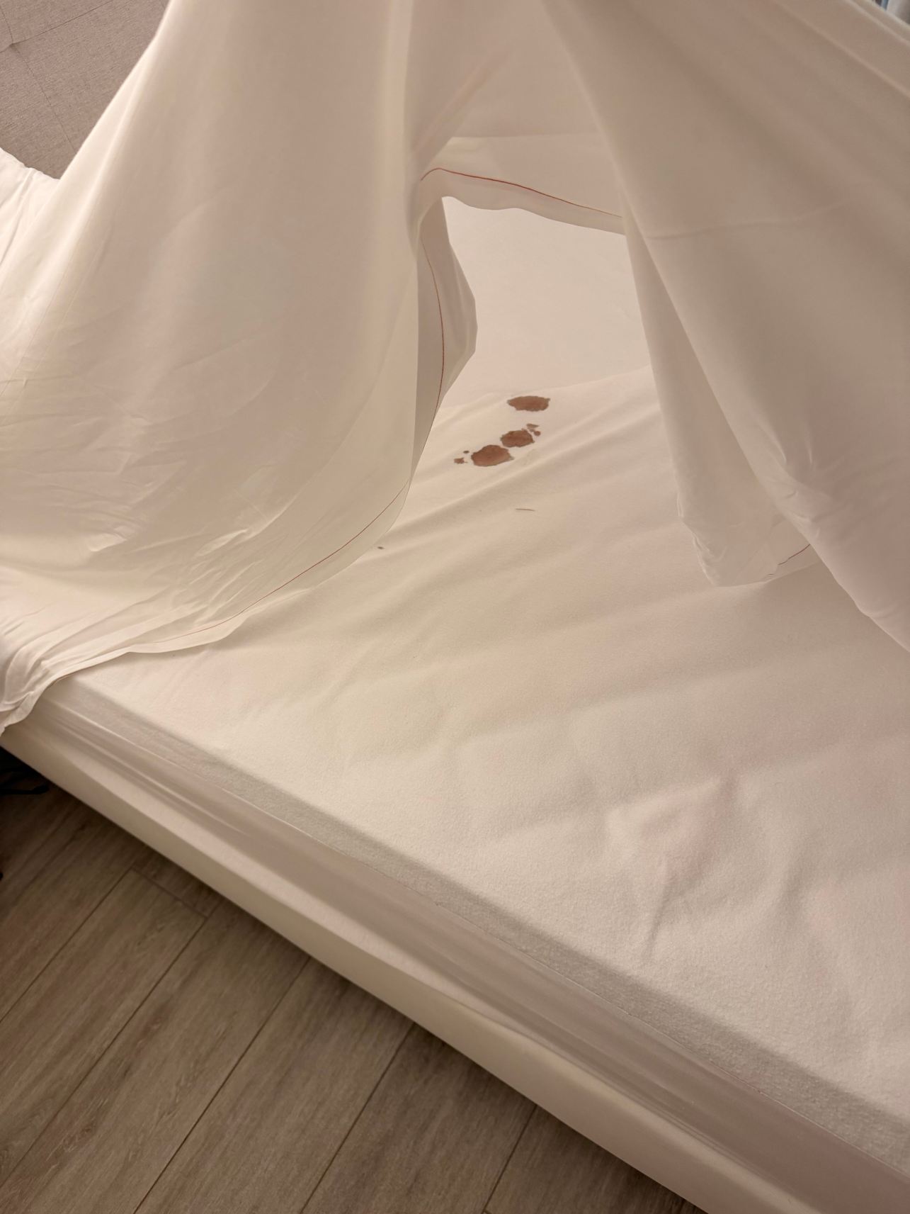 7Pines Resort Ibiza-旅行者