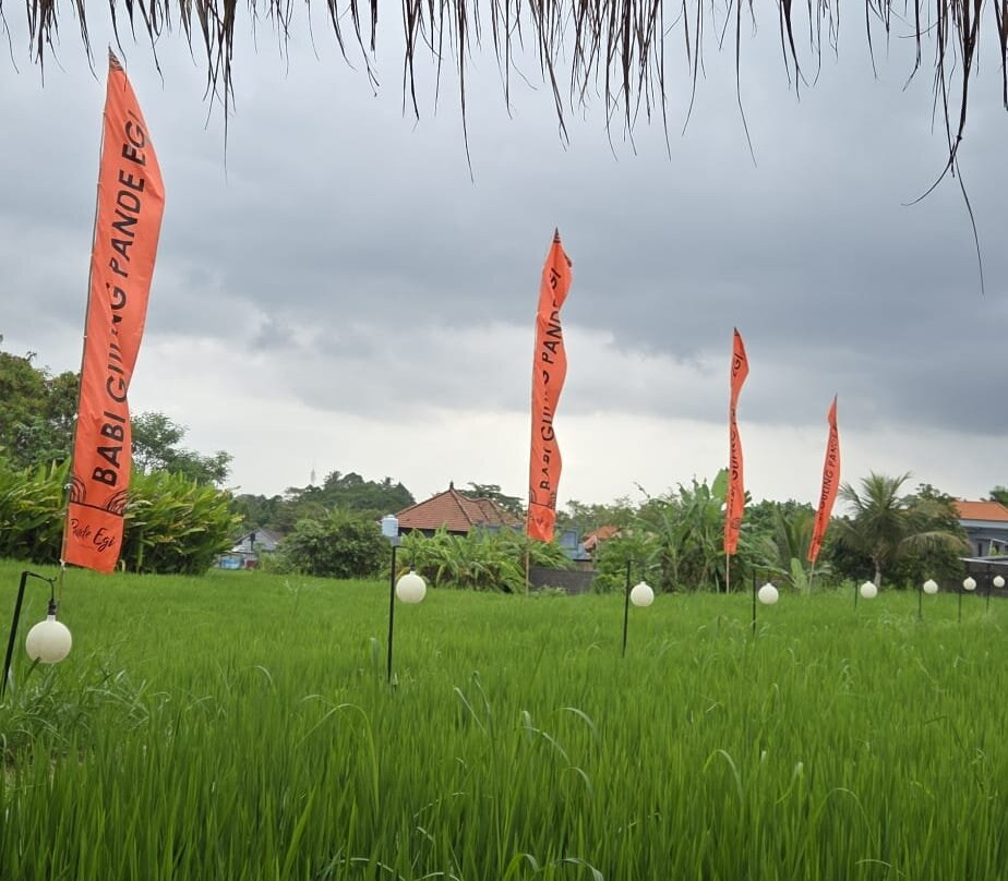 Merteyasa Bali Adventure-乌布必去景点