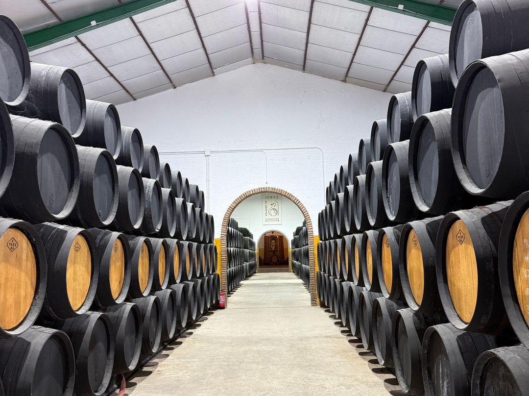 Bodegas Paez Morilla-赫雷斯德拉弗隆特拉必去景点