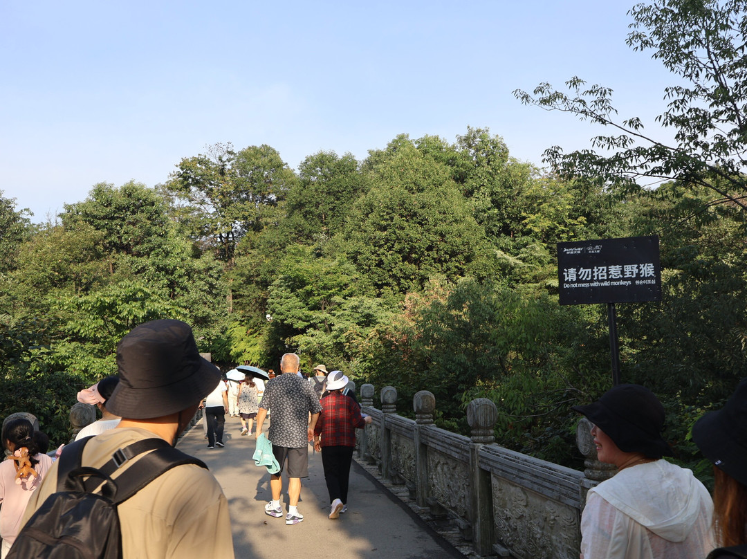 百龙观光电梯-张家界市必去景点