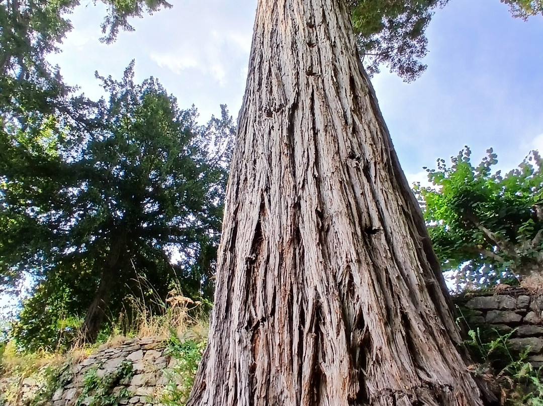 Site Abbatial de Saint-Maurice-Clohars-Carnoet必去景点