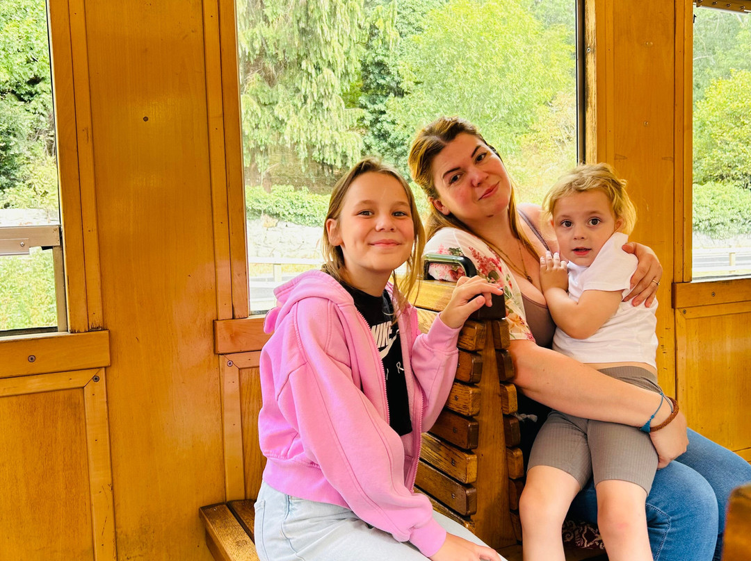 Welshpool and Llanfair Light Railway-Welshpool必去景点