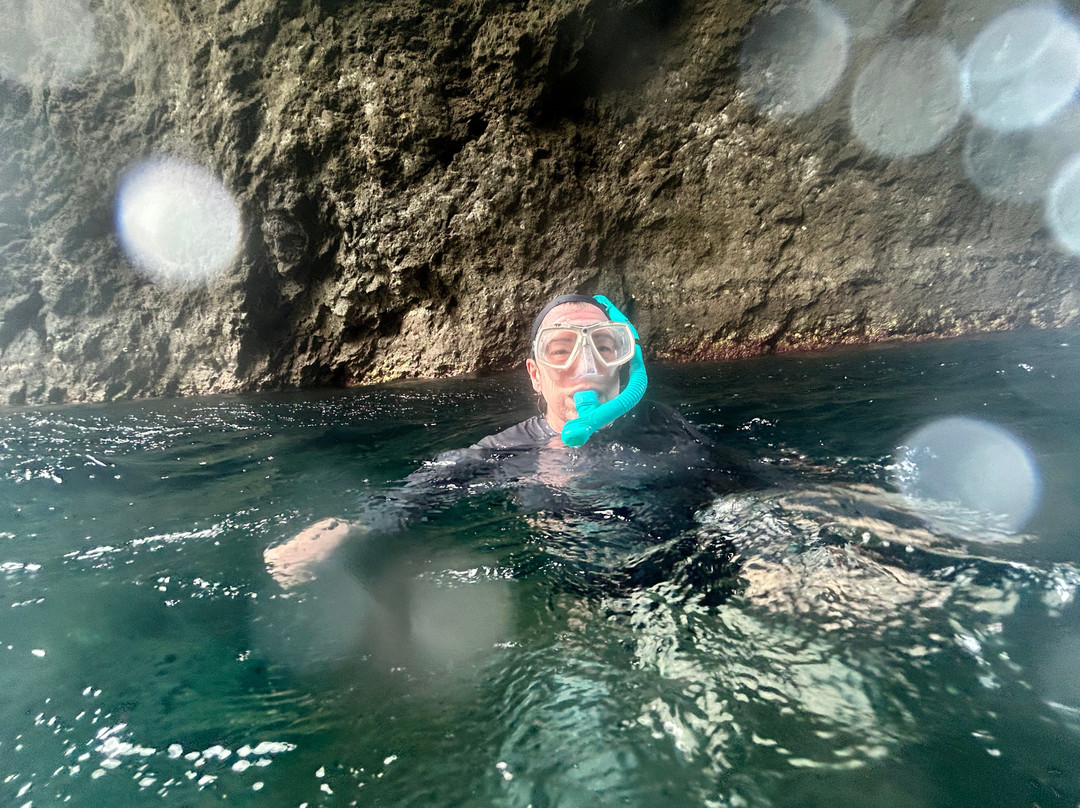 Sea Saba Dive Center-Windwardside必去景点