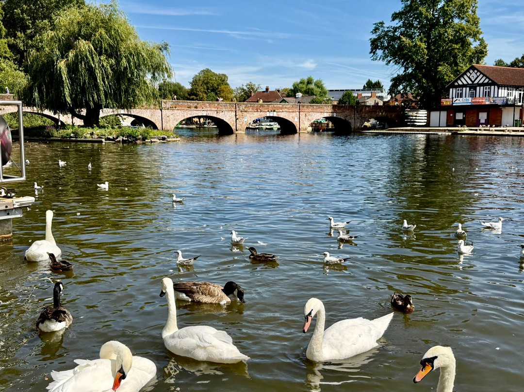 Stratford-upon-Avon Canal-埃文河畔斯特拉特福必去景点