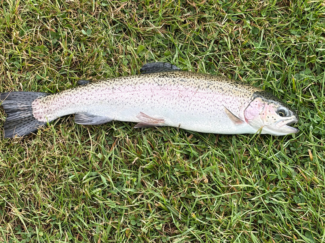 Gilcrux Springs Trout Fishery-Gilcrux必去景点