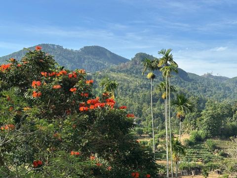 Ravana's Secret-旅行者