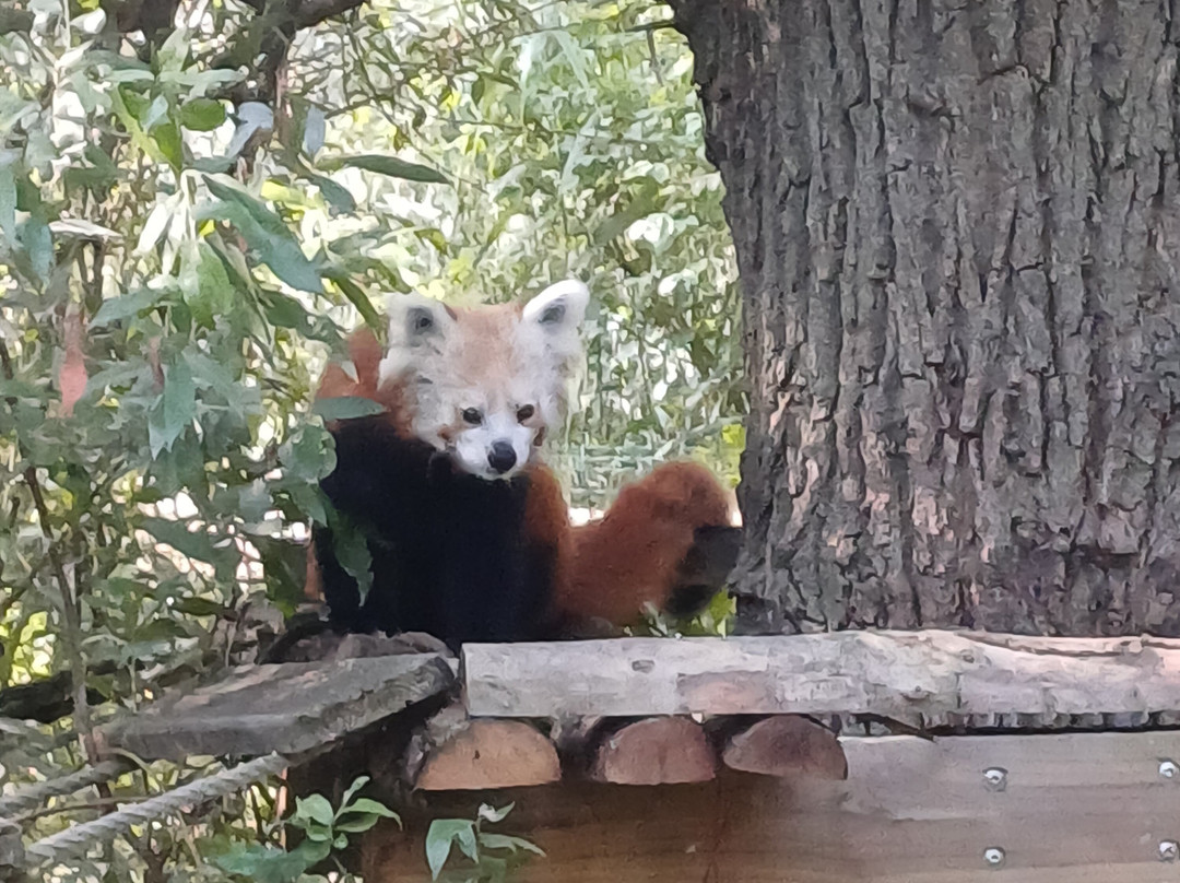 Les Jardins Animaliers Biotropica-Val de Reuil必去景点